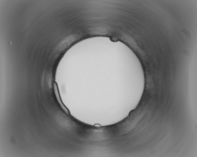X0000111950068200909071328