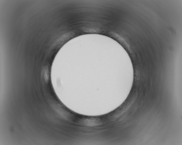 X0000111950069200909071328