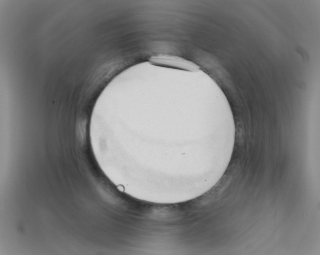X0000111950070200909071328