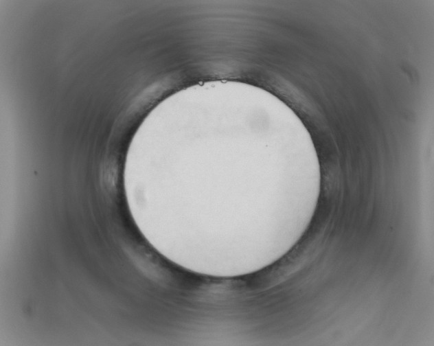 X0000111950072200909071328
