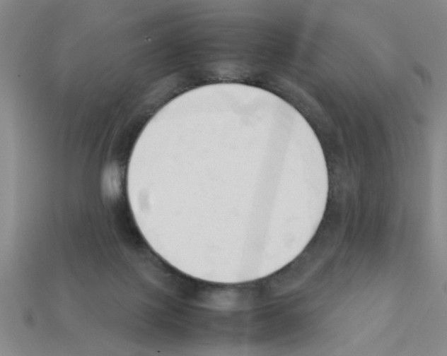 X0000111950075200909071328
