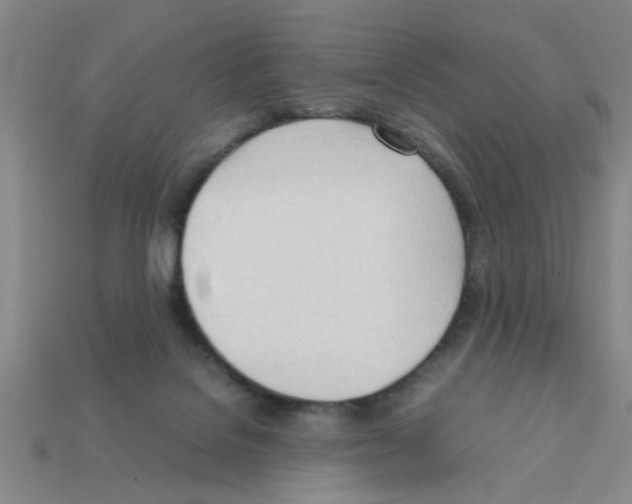 X0000111950076200909071328