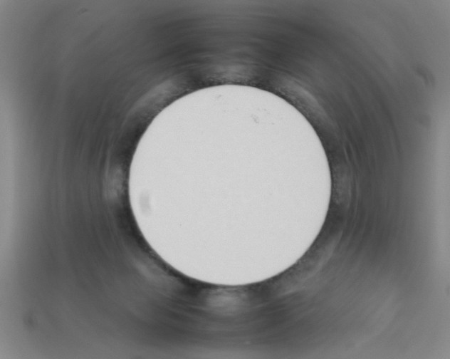 X0000111950077200909071328
