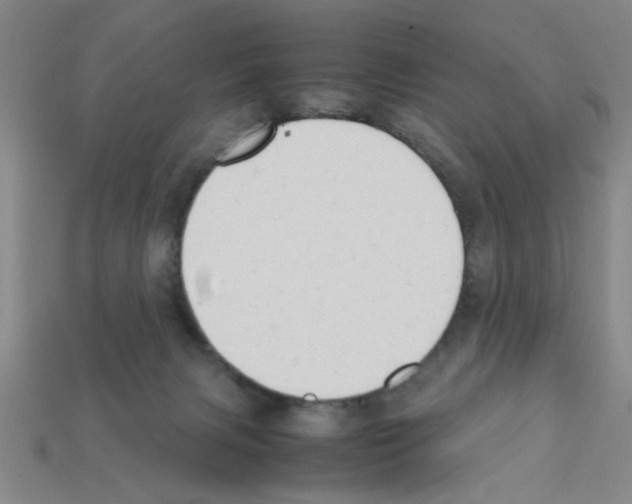 X0000111950079200909071328