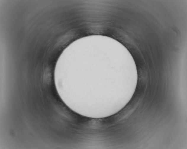 X0000111950080200909071328