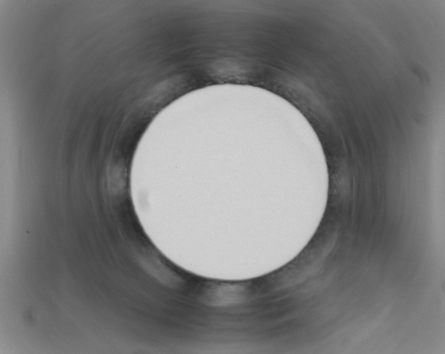 X0000111950081200909071328