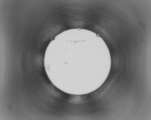 X0000111950083200909071328