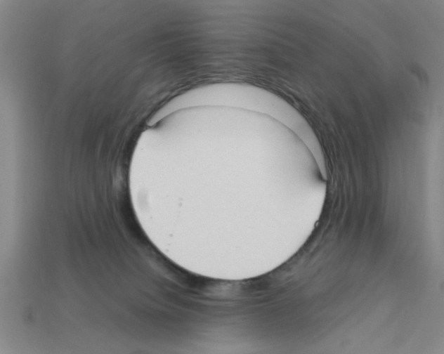 X0000111950084200909071328