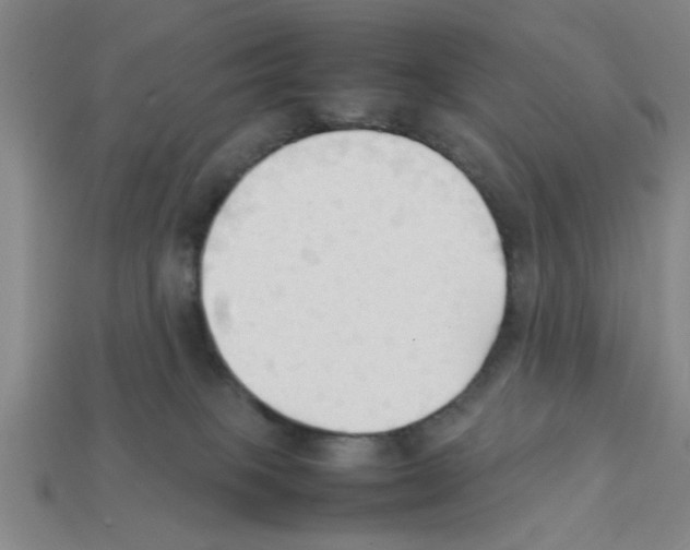 X0000111950085200909071328