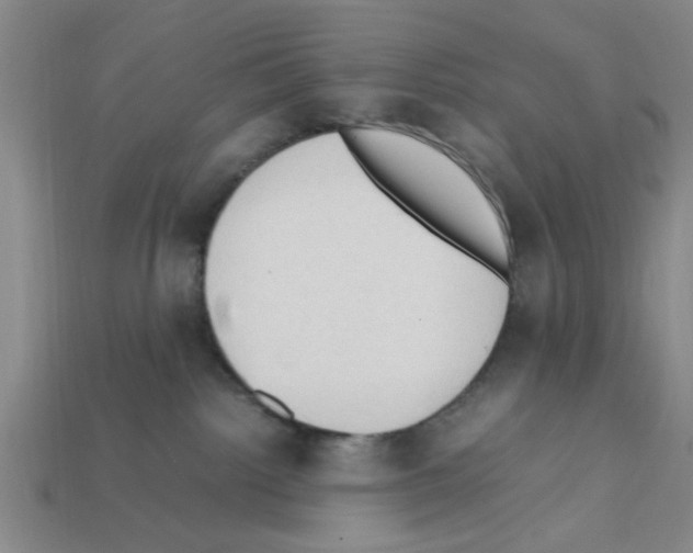 X0000111950092200909071328