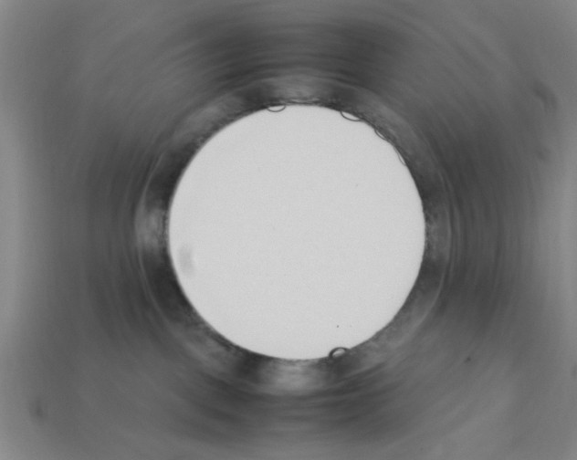 X0000111950093200909071328