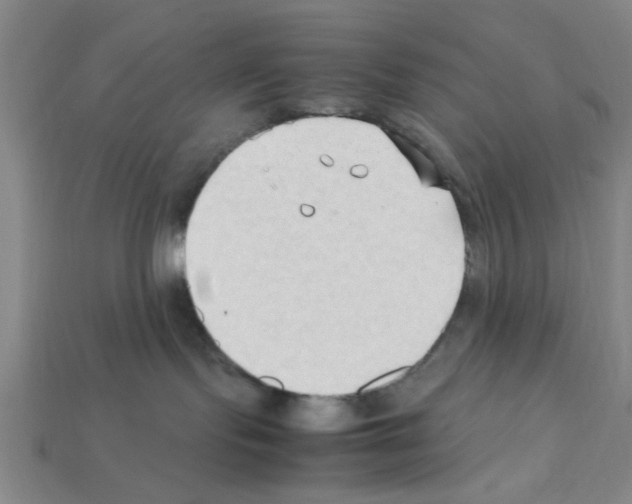 X0000111950095200909071328