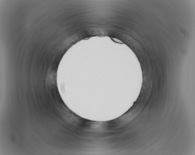 X0000111950096200909071328