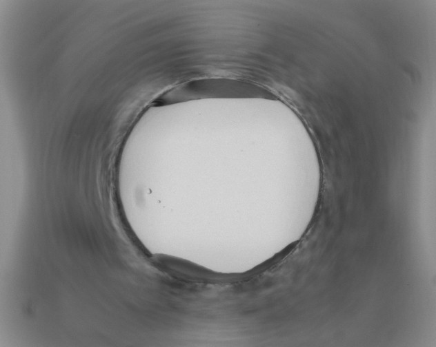X0000111950097200909071328