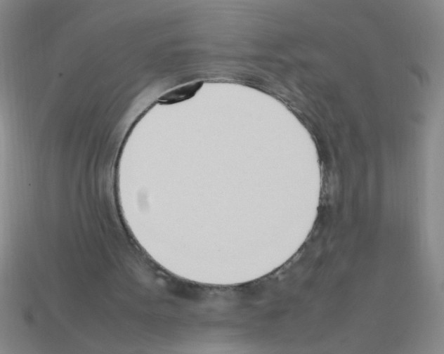 X0000111950099200909071328