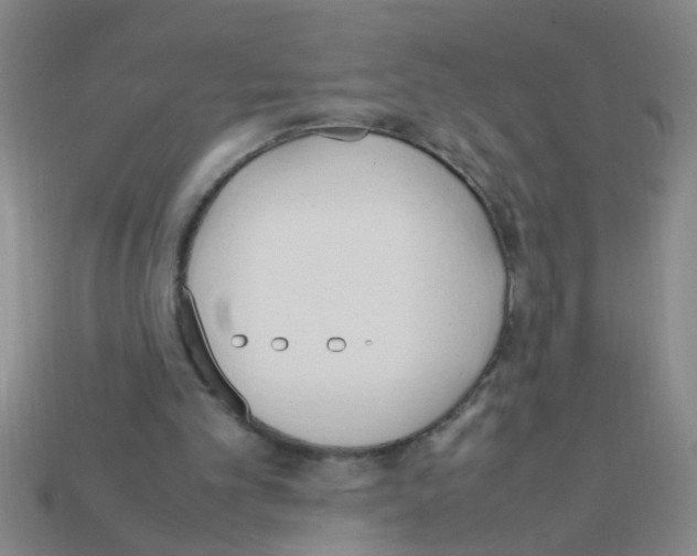 X0000111950101200909071328
