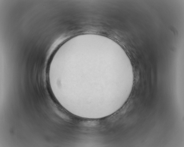 X0000111950102200909071328