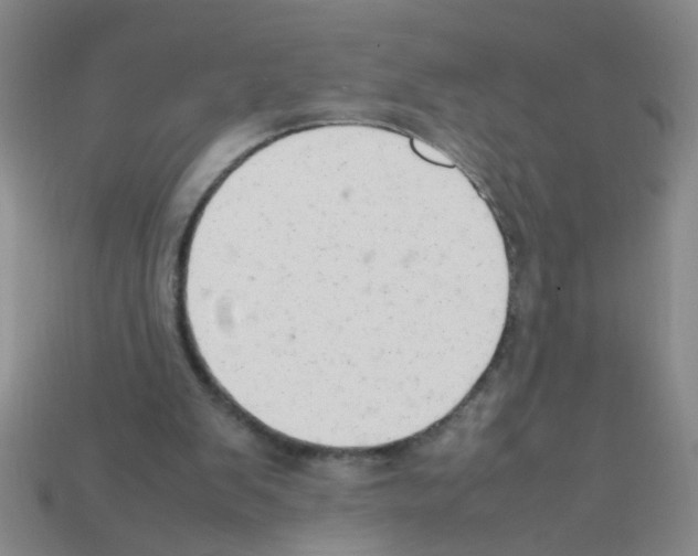 X0000111950103200909071328