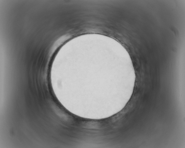 X0000111950104200909071327