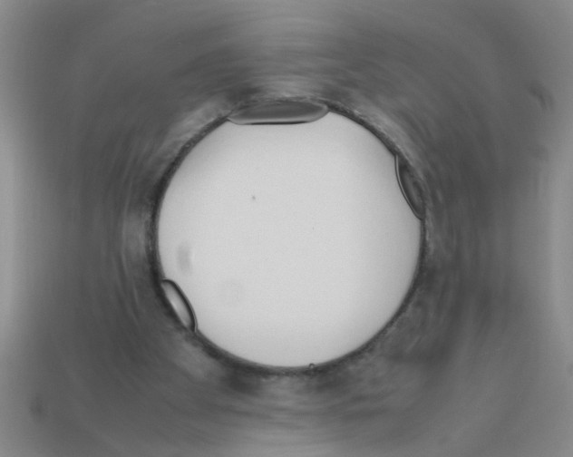 X0000111950105200909071327