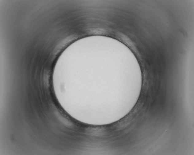 X0000111950106200909071327