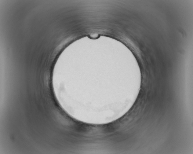 X0000111950107200909071327