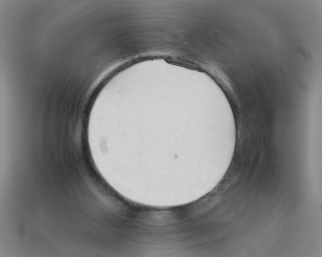 X0000111950108200909071327