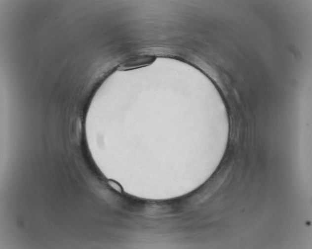 X0000111950109200909071327