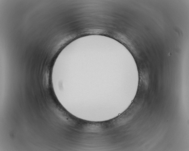X0000111950110200909071327