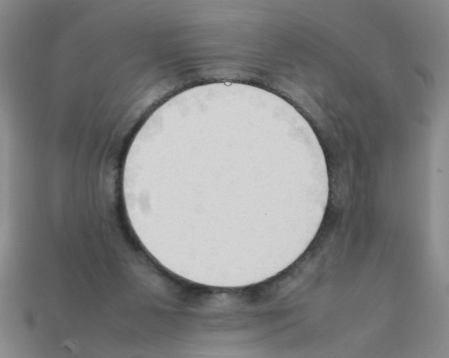 X0000111950111200909071327
