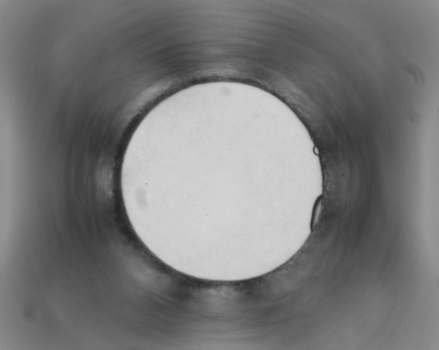 X0000111950112200909071327