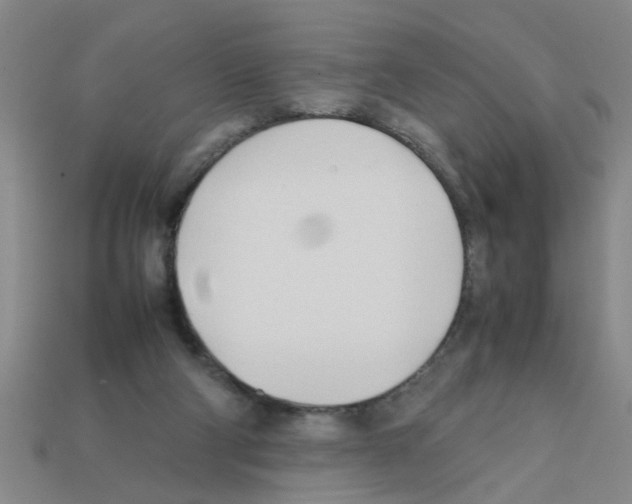 X0000111950114200909071327