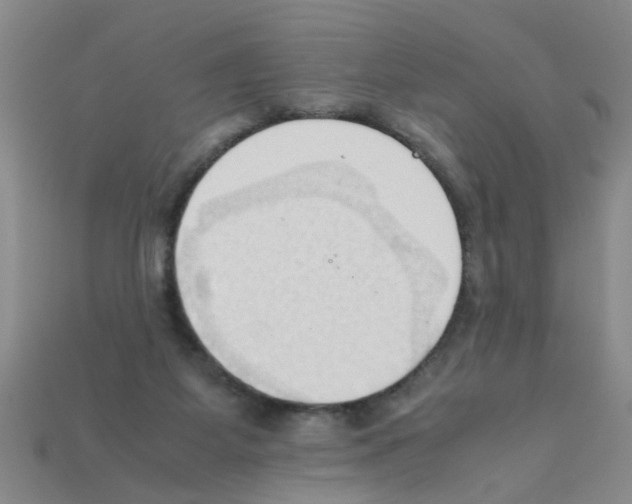 X0000111950115200909071327