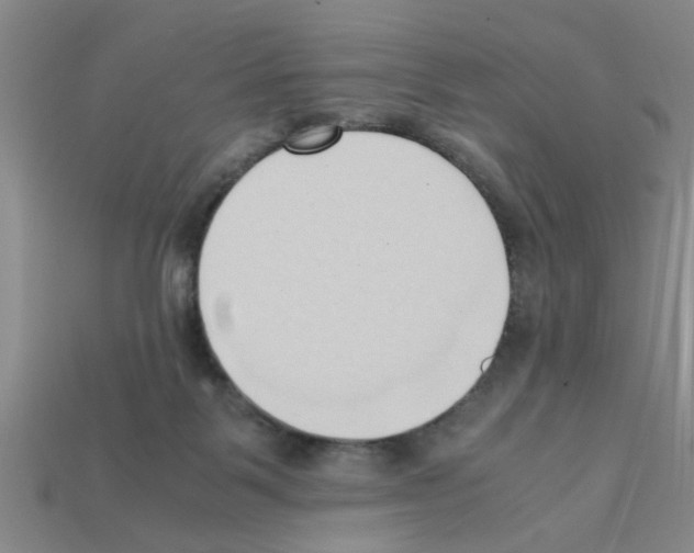 X0000111950123200909071327