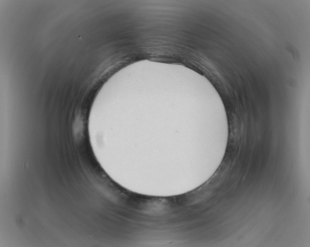 X0000111950124200909071327