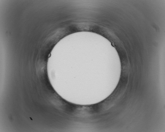 X0000111950125200909071327