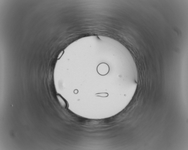 X0000111950129200909071327
