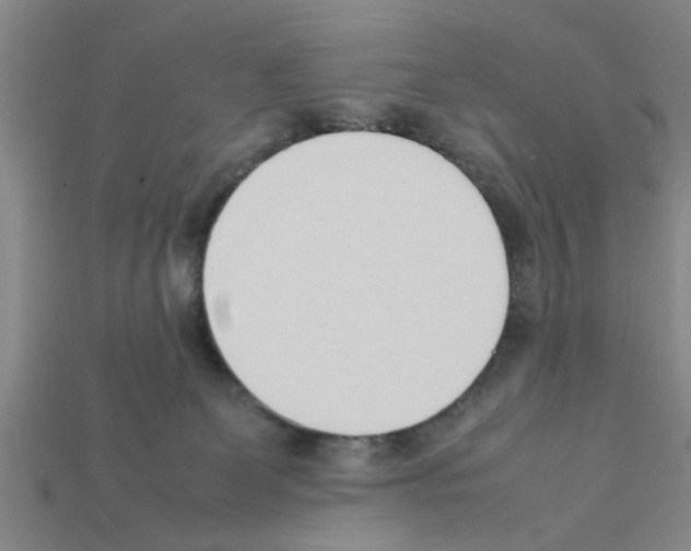 X0000111950131200909071327