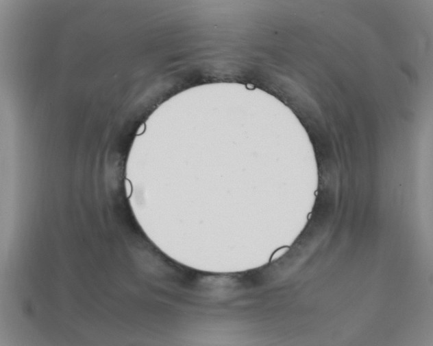X0000111950133200909071327
