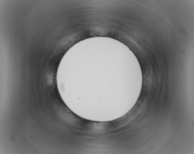 X0000111950134200909071327