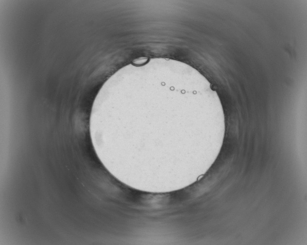 X0000111950135200909071327