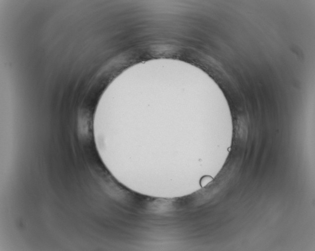 X0000111950138200909071327