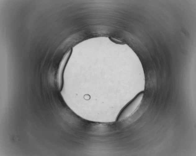 X0000111950140200909071327