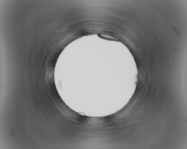 X0000111950141200909071327