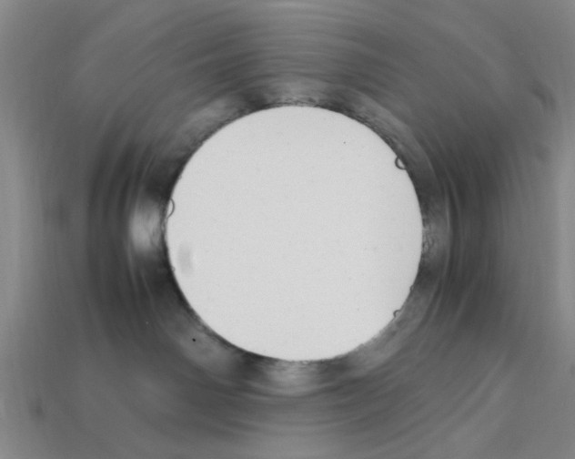 X0000111950142200909071327