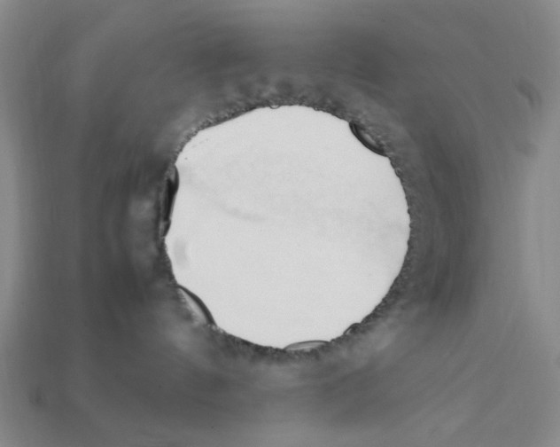 X0000111950144200909071327