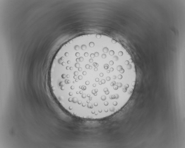 X0000111950145200909071326