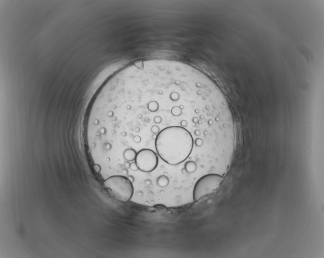 X0000111950147200909071326