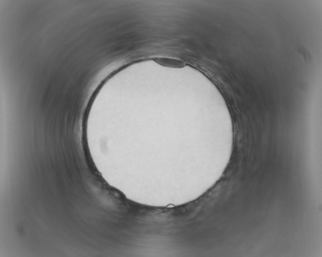 X0000111950148200909071326