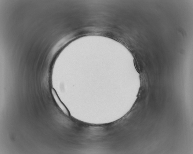X0000111950150200909071326